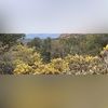amvan_e